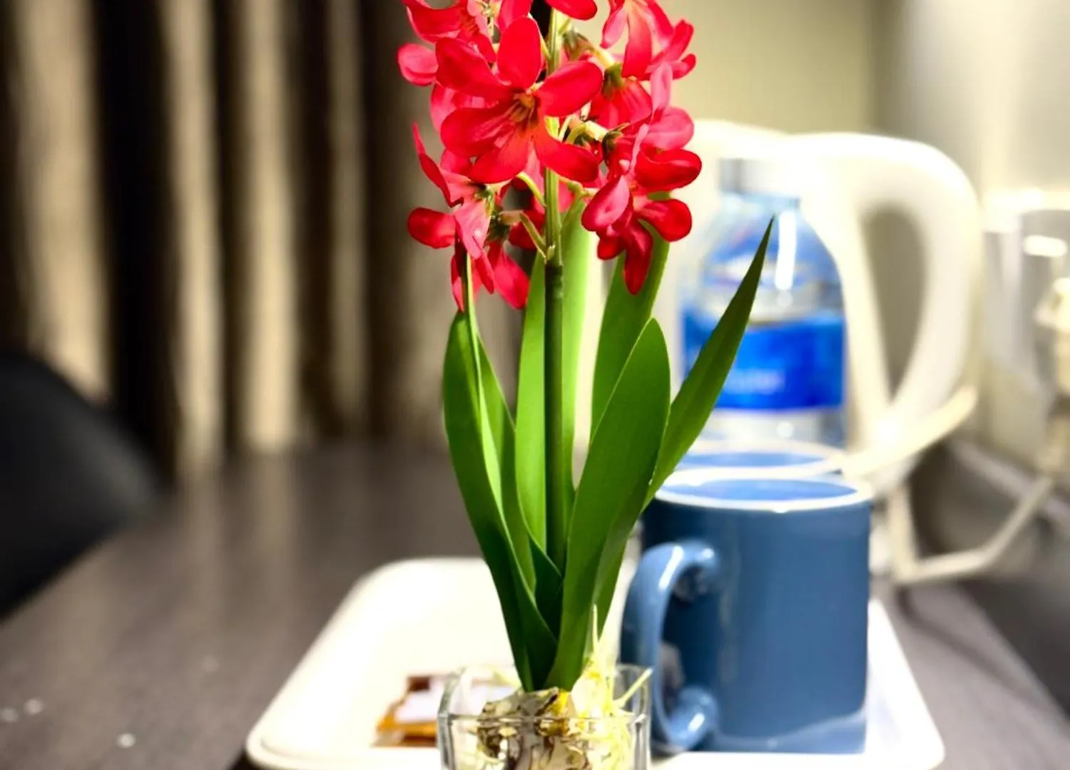 קואלה לומפור Avaria Hotel Kl 3*, קואלה לומפור
